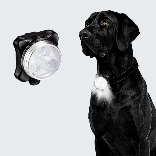 LANTERNA CORDILHEIRA COLLAR LED