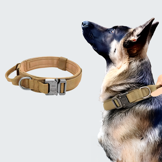 COLEIRA CORDILHEIRA BASIC